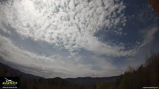 WaveCam 2026 04 29