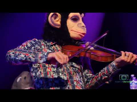 Leftover Salmon | 2024-12-31 | Who Stole My Monkey