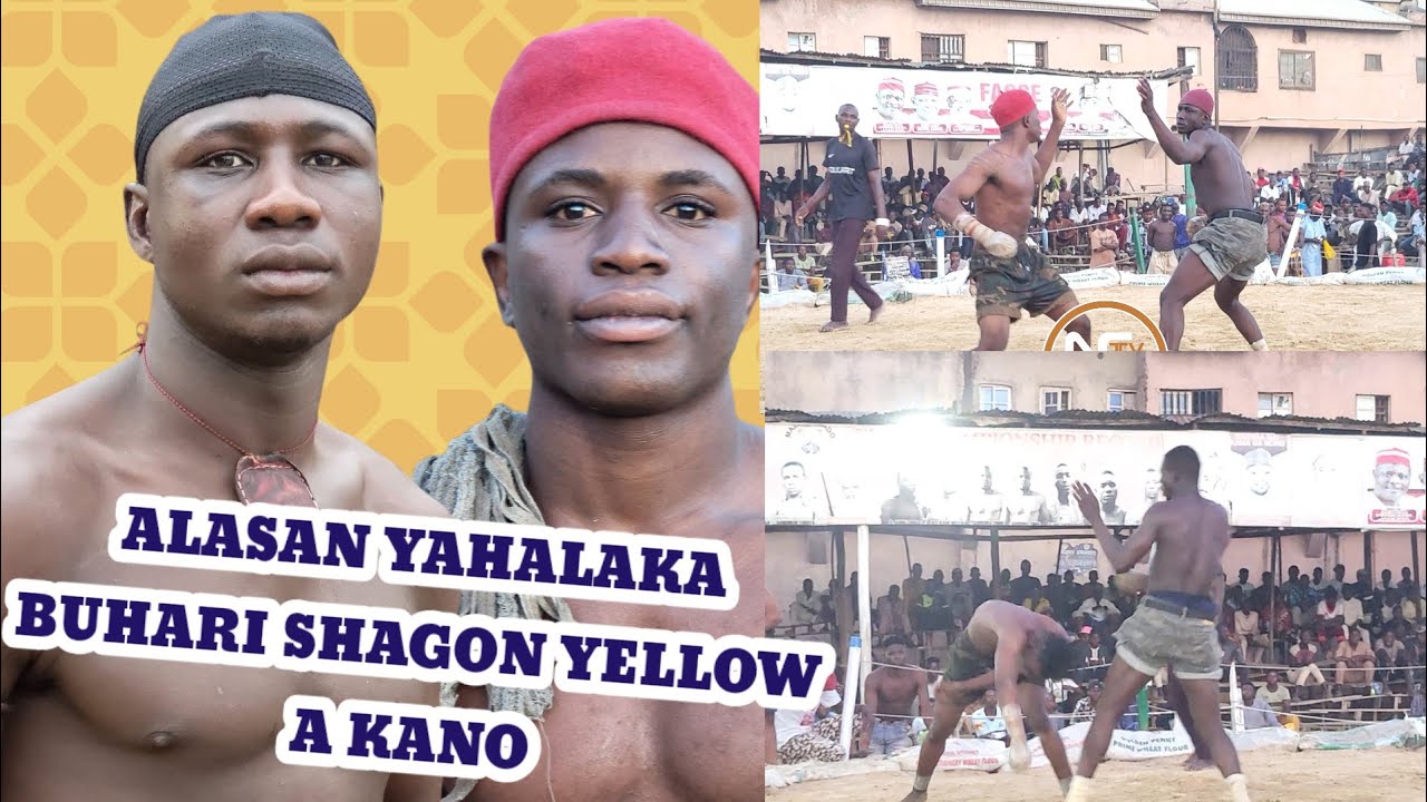 Alasan yabuge Buhari Shagon Yellow a Kano yau laraba 15/10/2025