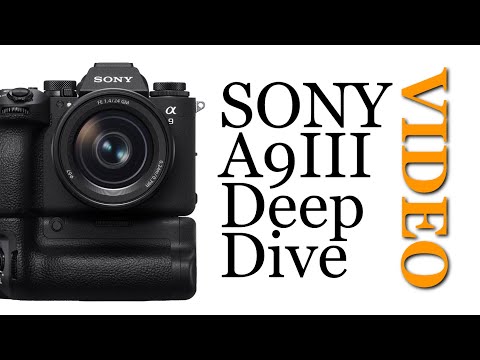 SONY A9III Deep Dive: Video by Patrick Murphy-Racey