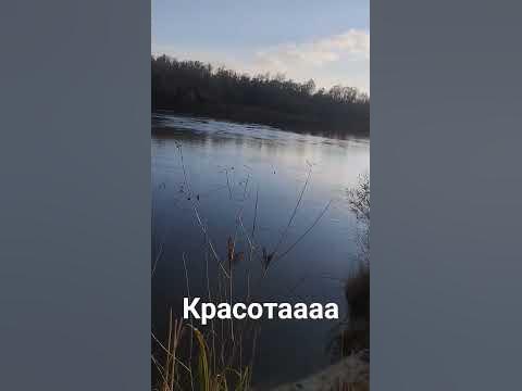 красотаааа. #україна #чернігівщина #річка #река #десна #природа #вода # ...