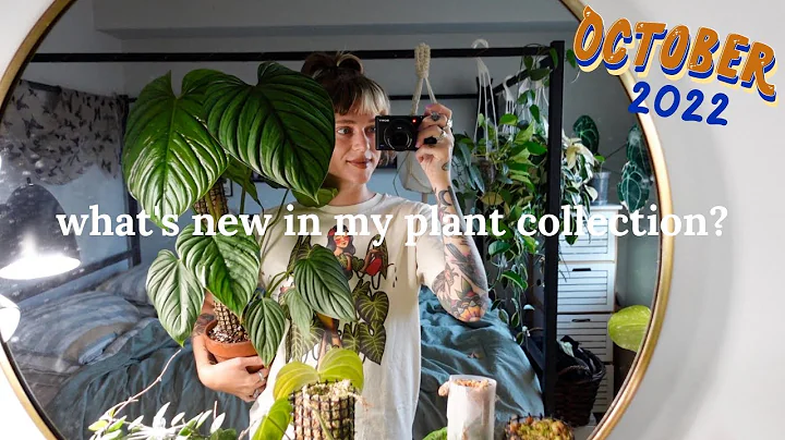philodendron serpens in room humidity, plants that are on my last nerve, + more | October updates