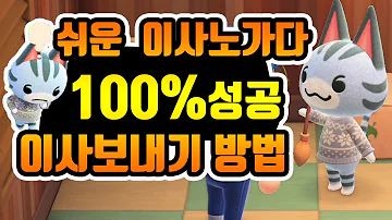 모동숲 강아지 받는 법