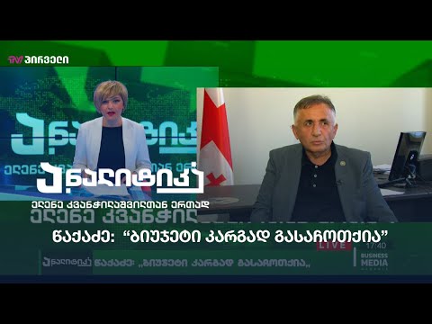 წაქაძე: “ბიუჯეტი კარგად გასაჩოთქია”