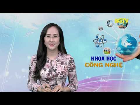 KH&CN: Nhân giống bơ bằng phương pháp ghép tại Lục Nam