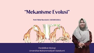 Mekanisme Evolusi Variasi Genetik