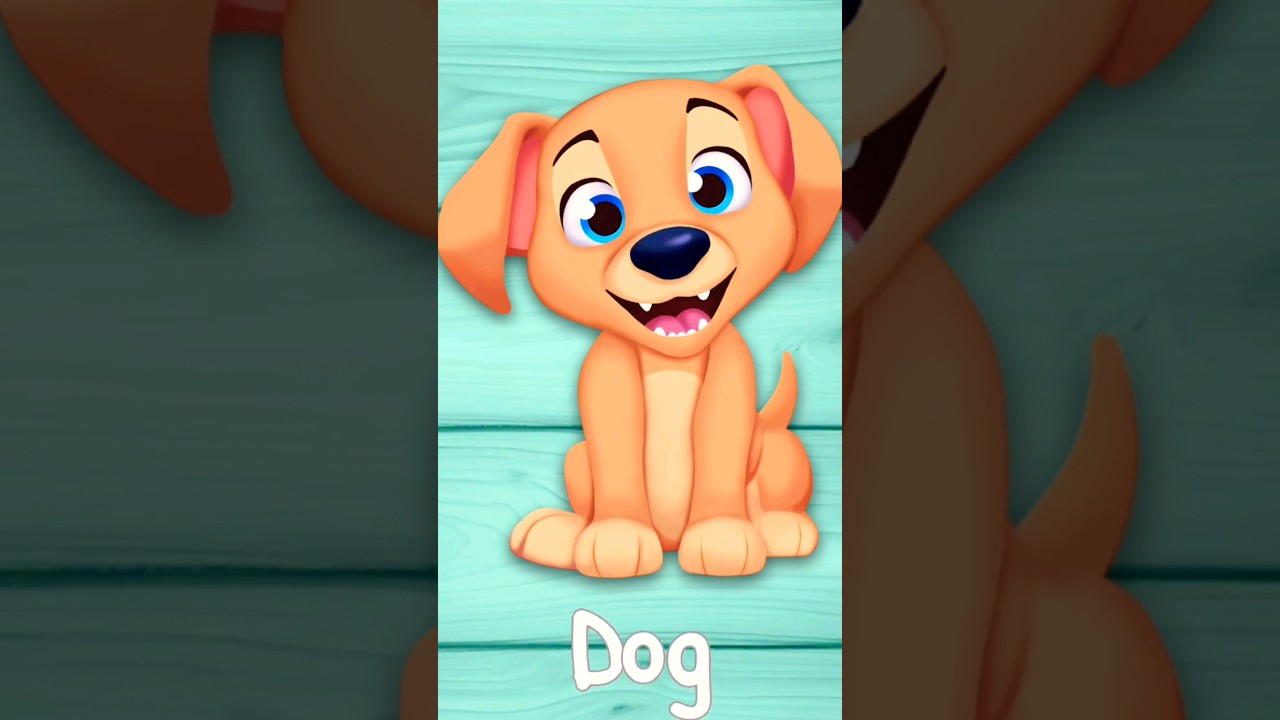 Super Pop Dog YouTube Super Pop Dog YouTube