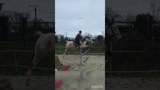ÉQUITATION PRÉPARATION GALOP 5 OBSTACLE : #shorts#équitation#obstacle#galop 5#chevaux#horse