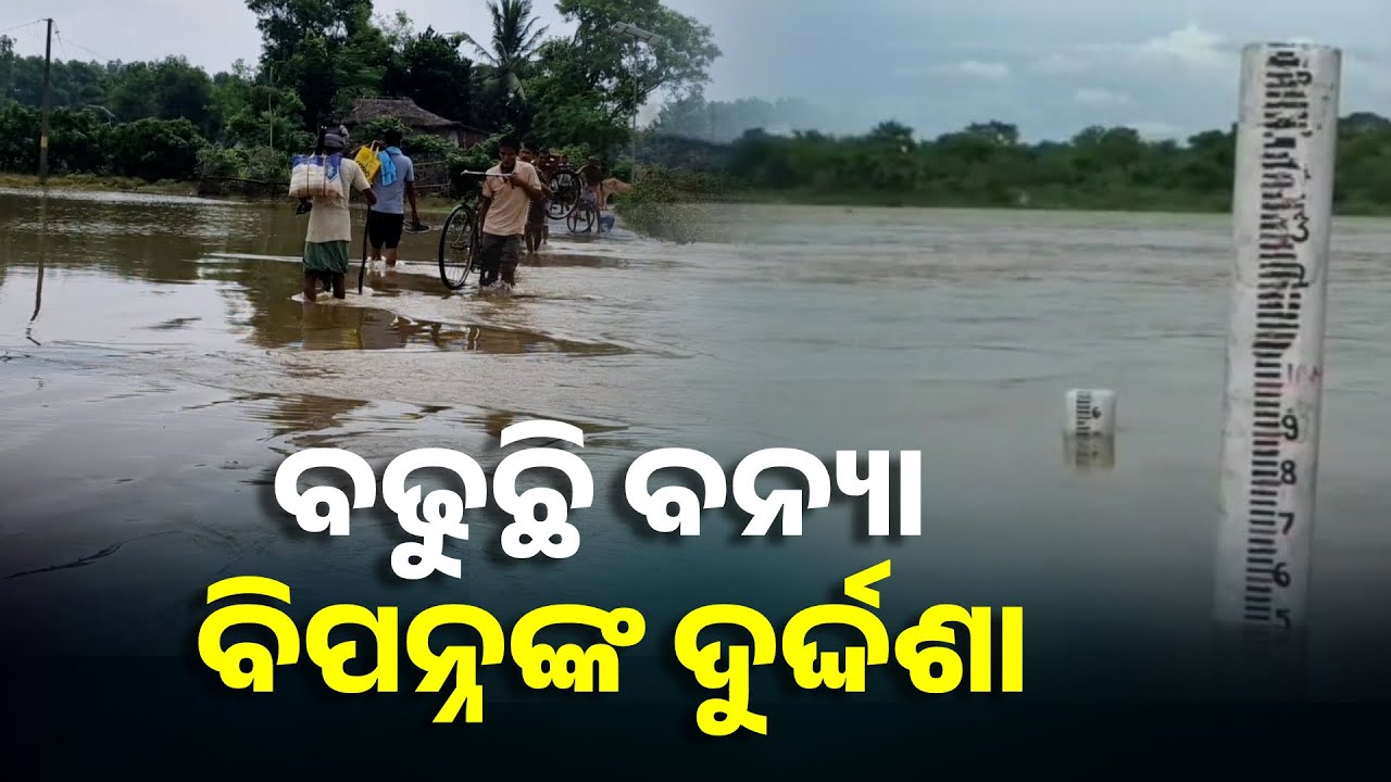 ସୁବର୍ଣ୍ଣରେଖା ବନ୍ୟାରେ ଉବୁଡୁବୁ ଉତ୍ତର ବାଲେଶ୍ୱର, ଚାଷୀମାନଙ୍କ ମୁଣ୍ତରେ ପଡିଛି ଚଡକ || Knews Odisha