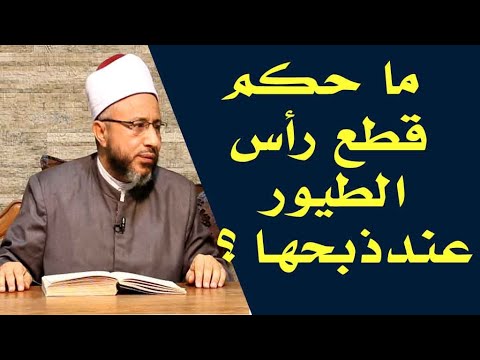 ما حكم قطع رأس الطيور عند ذبحها الأستاذ الدكتور محمد سيد سلطان