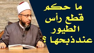 ما حكم قطع رأس الطيور عند ذبحها ؟  الأستاذ الدكتور محمد سيد سلطان