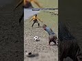 Amateur football skills that shocked everyone 😱⚽ #shorts