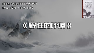 《野性的呼唤》“弱肉强食”的丛林法则