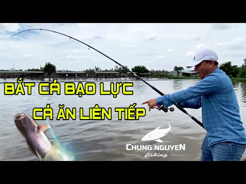 Tốp Pha Cá Ăn Liên Tiếp | Bắt Cá Đầy Cảm Xúc | Chung nguyễn fishing