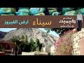 سيناء أرض الفيروز مهد الديانات عبق التاريخ