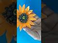 Easy Paper Cutting Flower 🌸 | Beautiful DIY Paper Flower #shorts