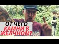 ЛУЧШАЯ ЕДА ДЛЯ ЖЕЛЧНОГО ПУЗЫРЯ И ОТТОКА ЖЕЛЧИ