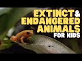 Extinct and Endangered Animals for Kids | What we can do to protect endangered species