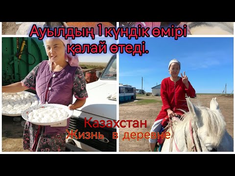 Ауылдың бір күндік өмірі қалай өтеді. Ауылдың қарапайым тіршілігі. #ауылвайб#ауылвлог#ауылблог