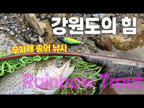 정선 무지개 <strong>송어</strong> 낚시