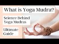 What is Yoga Mudra and Science behind Yoga Mudras | Ultimate Guide