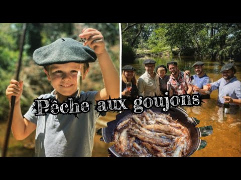 Vidéo: Gudgeon, Style De Vie Et Habitudes. Pêche Au Goujon