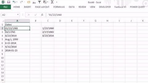 CFO Learning Pro - Excel Edition "Change Text Dates"