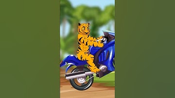 বাঘ মামা ও দুষ্টু শিয়ালের রেস | Sialer Golpo । Bangla Cartoon | Rupkothar Golpo । Viral cartoon