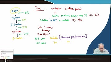 Lecture 44: Metabolic engineering of carotenoid pathway: Golden Rice Story #swayamprabha #CH31SP