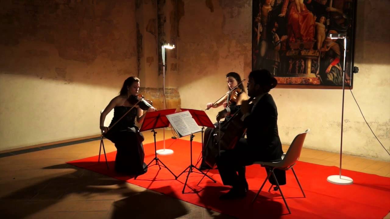 Ludwig van Beethoven: Trio op.9 n.2 - II Movement (Trio Broz)
