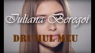 Iuliana Beregoi - Drumul Meu (Versuri/Lyrics)