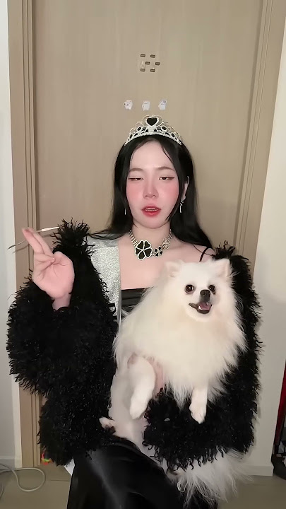 sammy sinh nhật vui vẻ