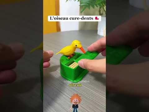 Introduction et Prise en Main de BetnJet
