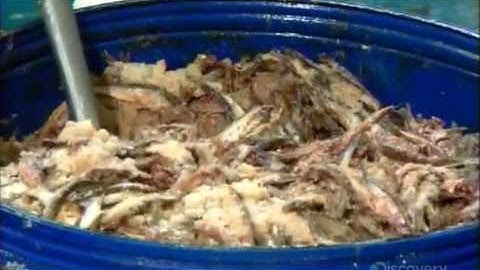 How It’s Made Worcestershire Sauce.mp4