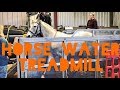 Horse water treadmill