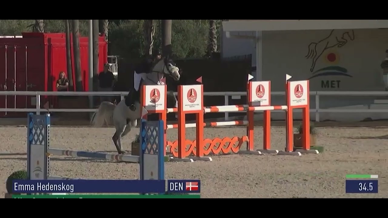 Miss Sweet Jolene Z - MET Oliva 130 cm