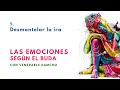 Desmantelar la ira - "Las emociones según el Buda 5"