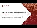 Биология поведения человека: Лекция #5. Молекулярная генетика, II [Роберт Сапольски, 2010. Стэнфорд]