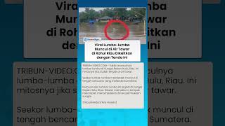 Download Lagu Viral Lumba lumba Muncul di Air Tawar di Rohul Riau Dikaitkan dengan Tanda Ini MP3