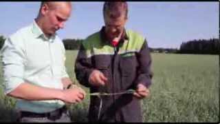 Huippufarmari Haussa Siemenviljely Elämäntapana