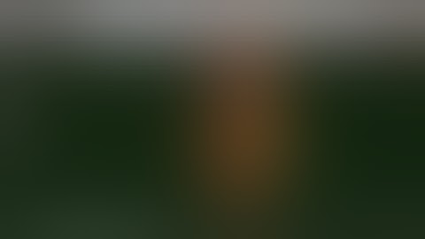 INVENTORY TALK | BLOODFANG CLAWTOOTH | SECOND LIFE