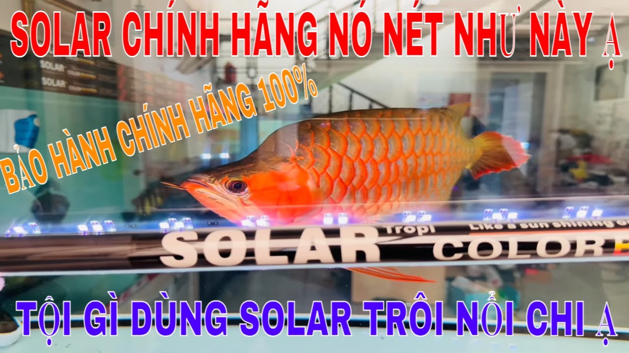 🔴PHUKIENCARONG.VN | ĐÈN SOLAR CHÍNH HÃNG PHẢI NHƯ NÀY - SOLAR PLUS ÁNH ...