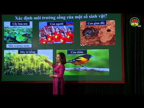 Video Dạy học trên truyền hình Hưng Yên: Môn Sinh học lớp... - YouTube