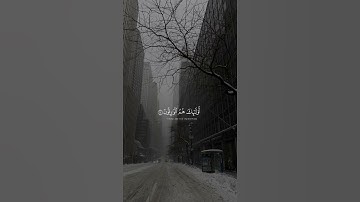 القارئ: عبد الله الموسى 🍃 أرح سمعك 🥀حالات واتس آب ♻️