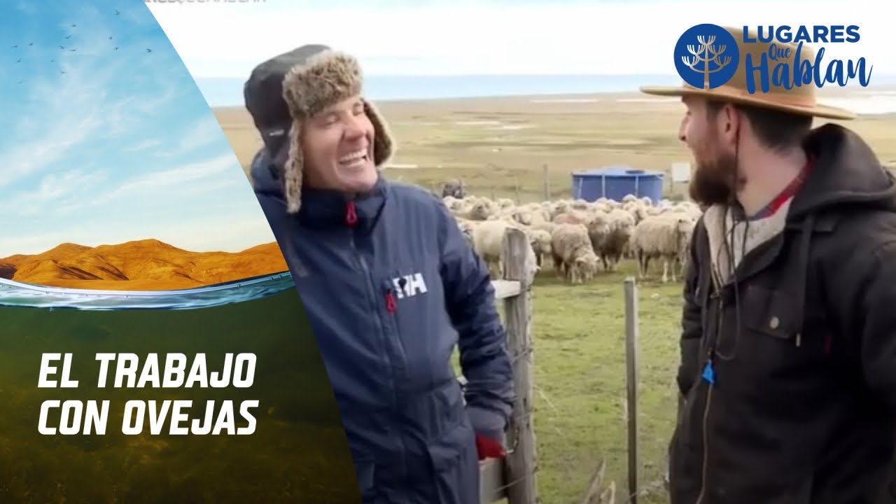 Ganaderos y el trabajo con las ovejas en Tierra del Fuego. Lugares que Hablan, Canal 13.