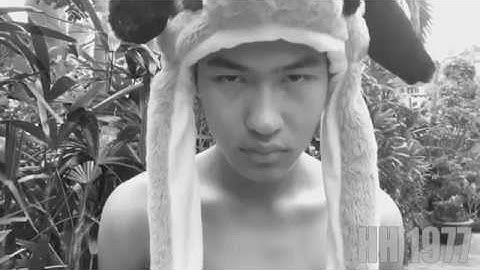 Hưng Hà official - Cover/Spoil phim mới Lão Hạc_Cậu Vàng( Chó Shiba ) cực mạnh 2019