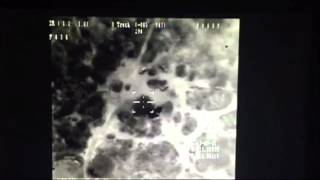 Details Nigerian Air Force Drone Destroys Boko Haram Base Outside Sambisa Forest Guide