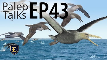 The Rise of Giants: Bony-toothed Birds from Antarctica [Paleo Talks EP43]