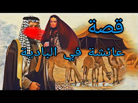 413 قصة عائشة وفايز معا شيخ القبيلة قصة من البادية
