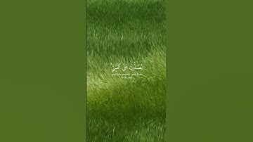 قران كريم بصوت ياسر الدوسري #ياسر_الدوسري #قرآن #قران_كريم #راحة_نفسية #اكسبلور